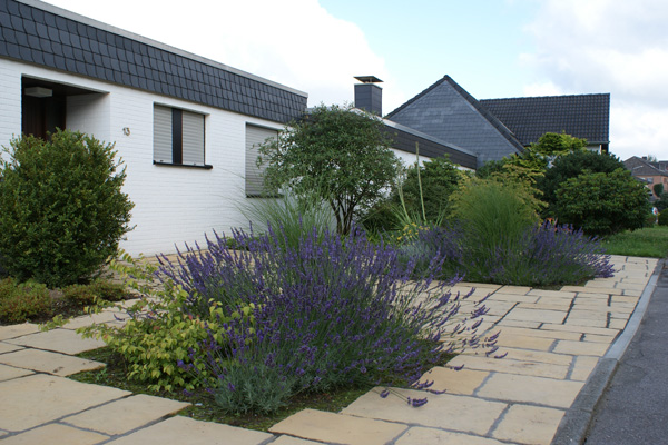 Gartenschönmacher Galerie: Bepflanzung, Tobias Bass Aachen