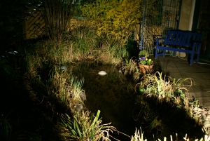 Gartenschönmacher Galerie: Licht im Garten