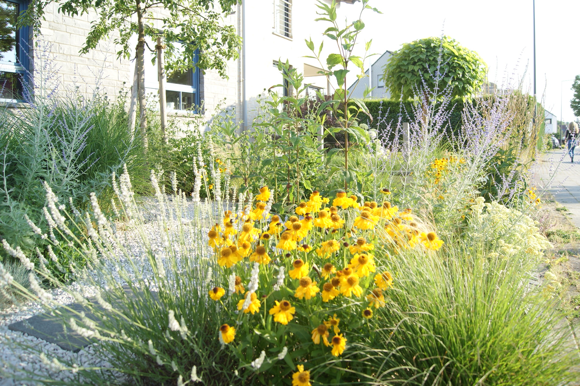 Gartenschönmacher Galerie: Bepflanzung, Tobias Bass Aachen