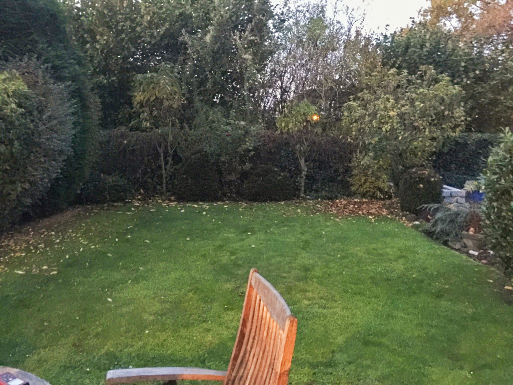 Garten Projekt: Doppelhaushälfte in Würselen