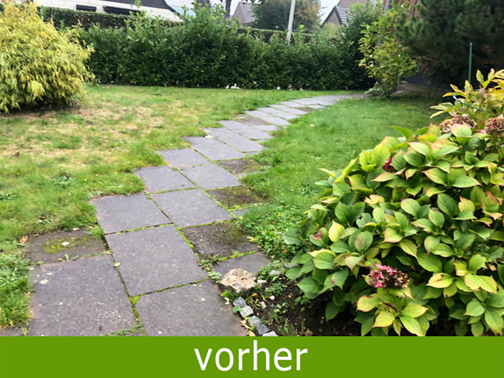 Gartengestaltung vorher