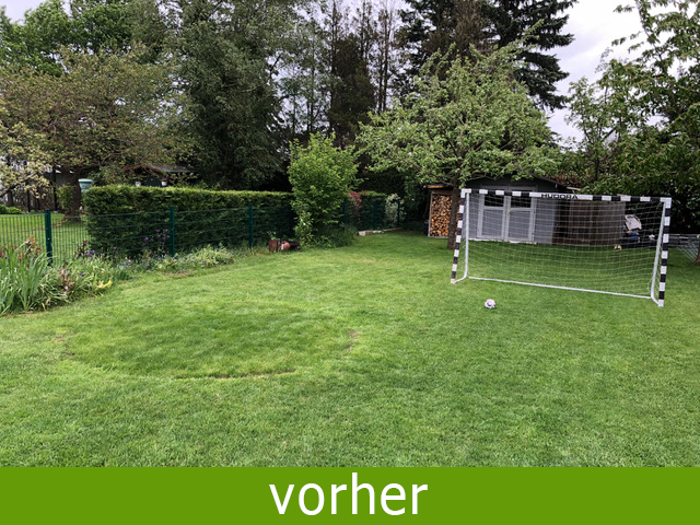 Gartengestaltung vorher