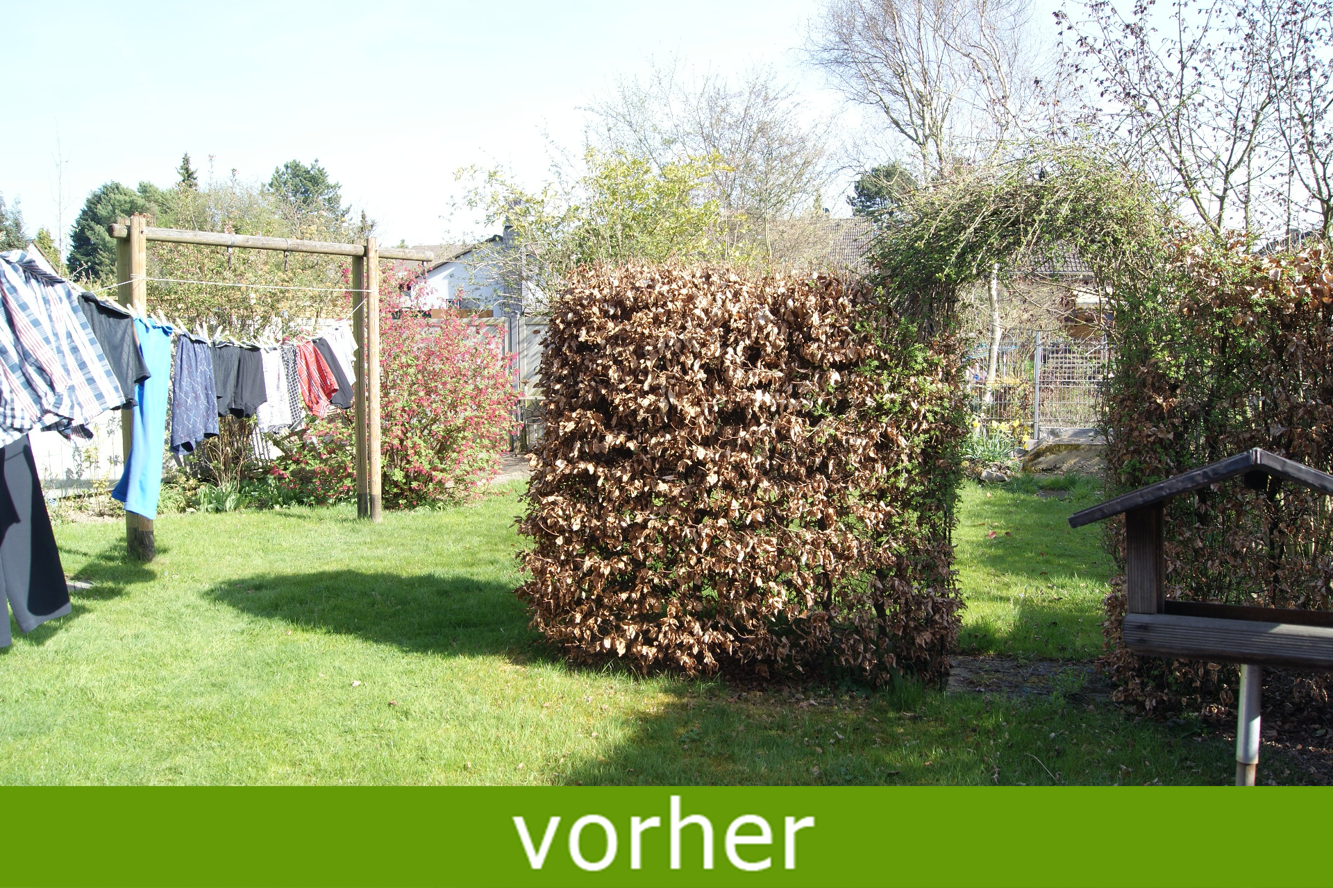 Gartengestaltung vorher