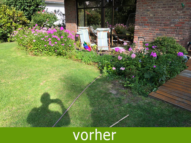 Gartengestaltung vorher