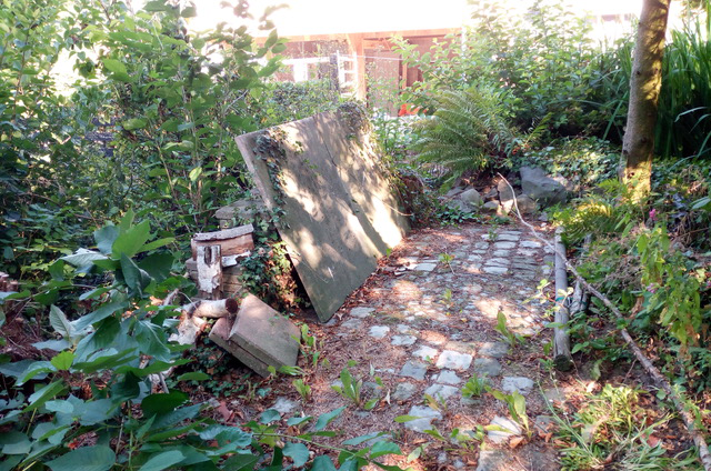 Gartengestaltung vorher