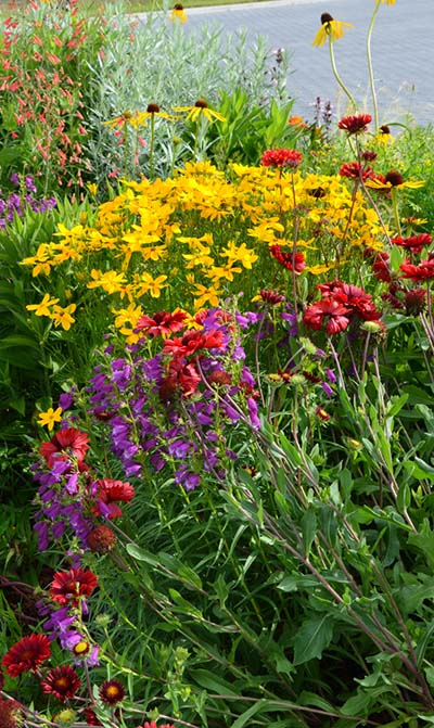 Blumen im Garten, Gartenpflege